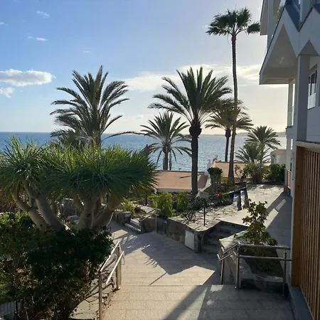 Tuneras En San Agustin San Bartolome de Tirajana (Gran Canaria)